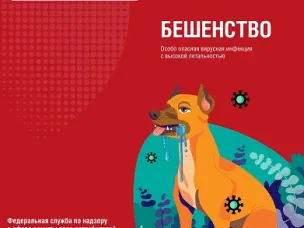 Роспотребнадзор информирует: пресс-релиз инфографика Профилактика бешенства